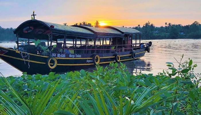 Mango Cruise