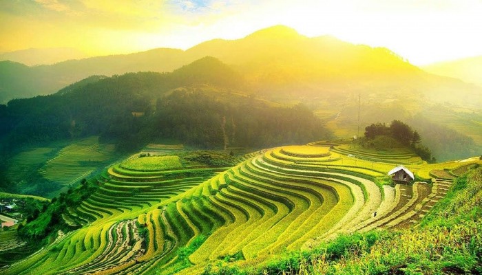 Hoang Su Phi