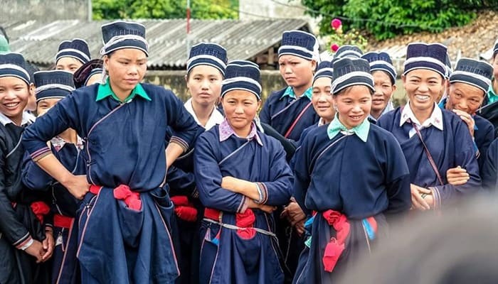 Hoạt động