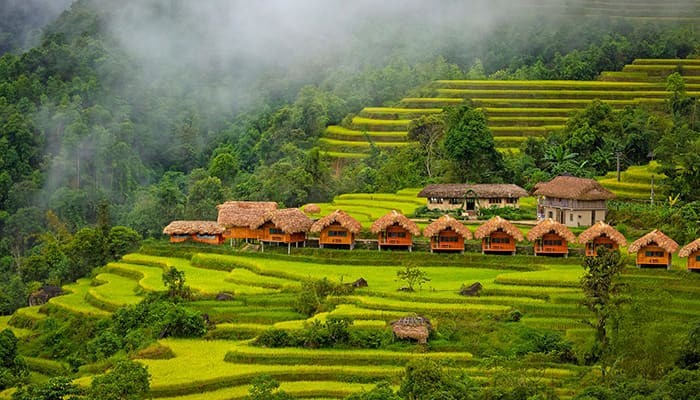 Toàn cảnh