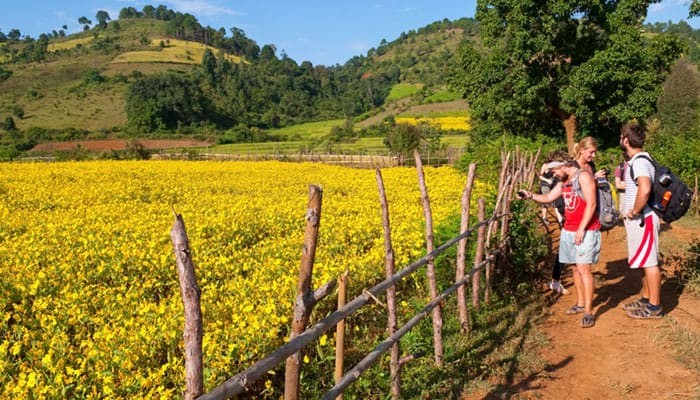 Kalaw