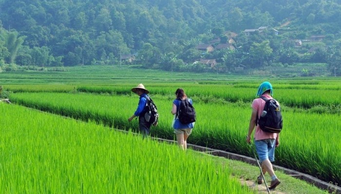 Mai Chau - Pu Luong