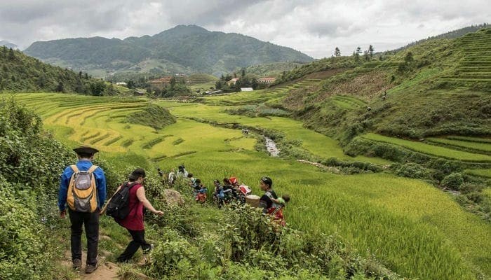 Sapa