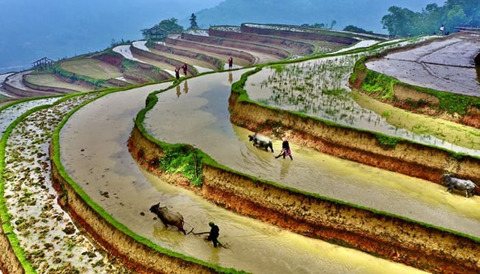 Ta Giang Phin