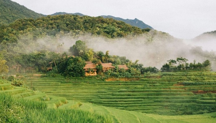 Hang Doi