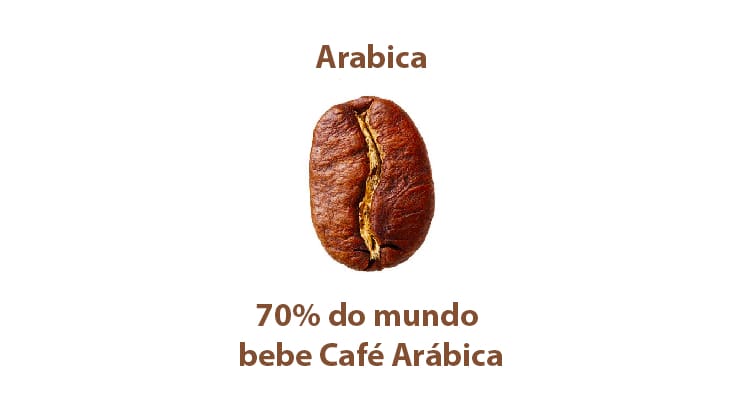 Hạt Arabica