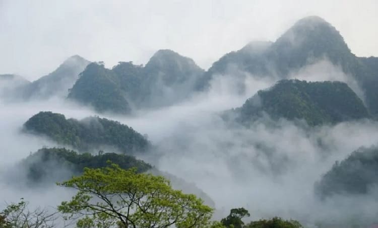 Dinh may bac o rung cuc phuong