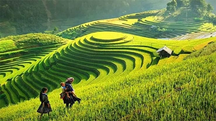 ruong bac thang sapa