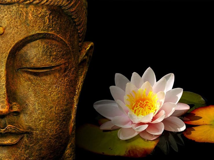 lotus na religião