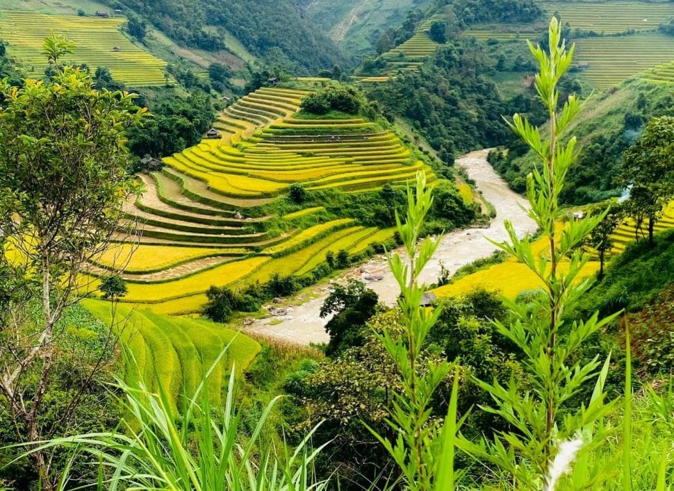 Terraços de arroz em Mu Cang Chai