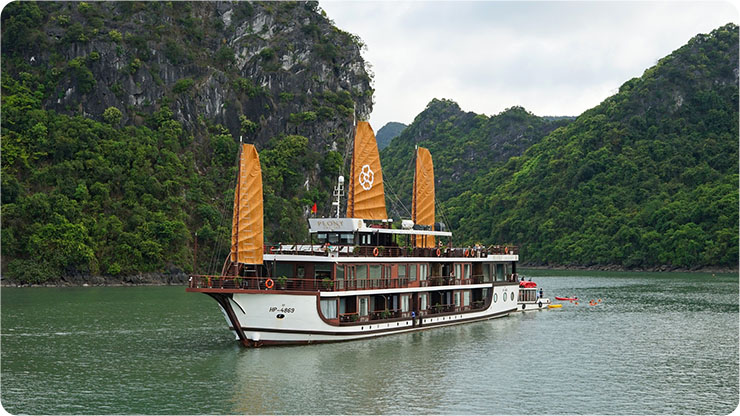 Peony Cruise