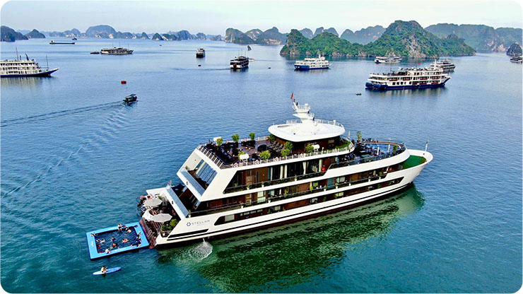 Stellar of the sea Cruise