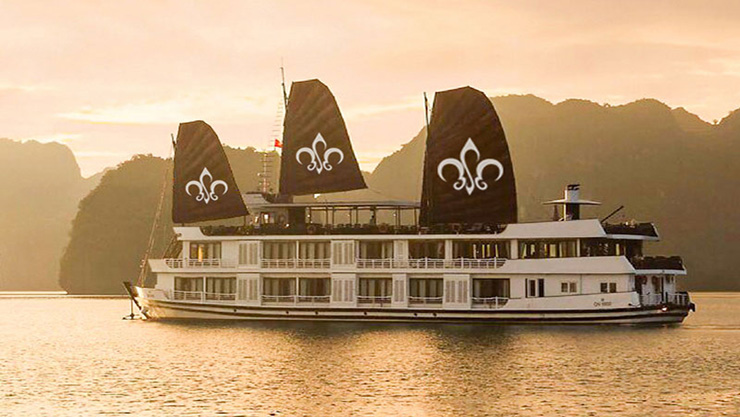Lily cruise