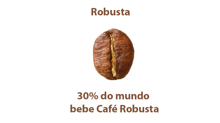 Hạt Robusta